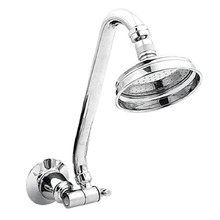 Noosa Multi Directional Gooseneck Shower & Arm